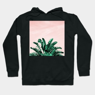 Turquoise Banana Leaves, pink sky Hoodie